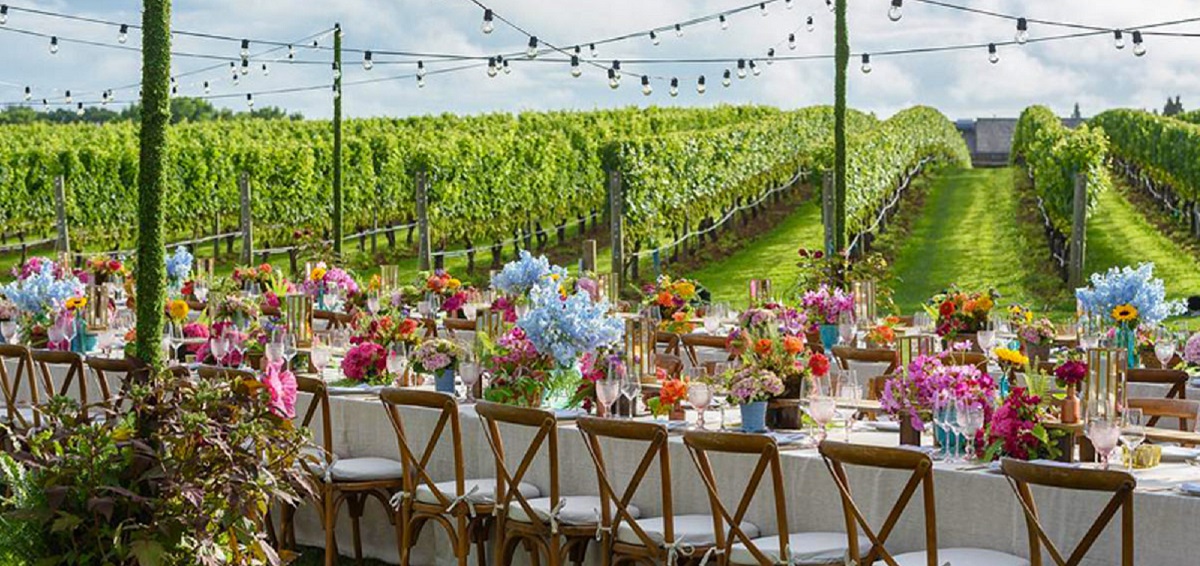 Vineyard set up with tables for party photo